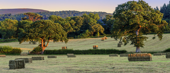 hay bales © david hughes