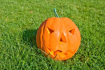 Obraz premium halloween pumpgin in a grass