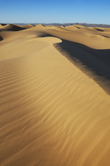 Fototapeta na wymiar Sahara desert sand dunes with clear blue sky.