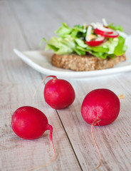 Radishes with healthy sandwich with focus on radishes