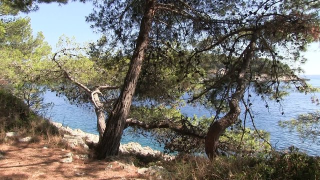 plage du sud