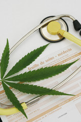 CANNABIS 4