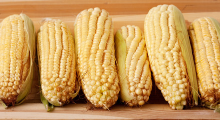 A corn cob on a wooden background © smailik