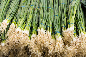 Green onions or scallions on display