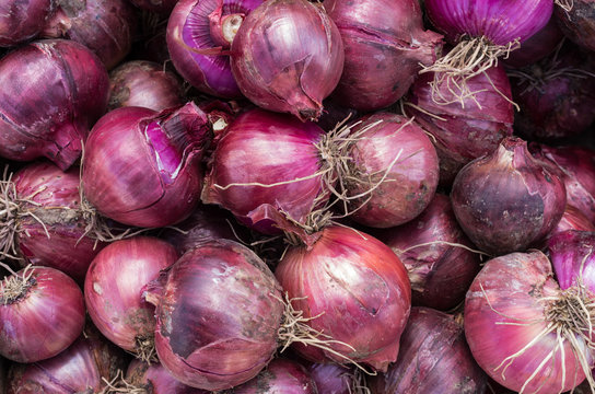 Harvested red onions on display