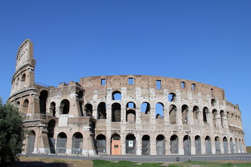 Naklejka premium Colosseum Rome
