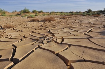 Erdrisse in der Sahara