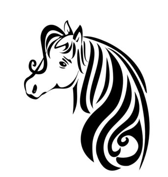 Beauty head hair horse vector stock