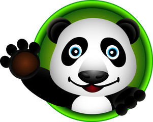 Fototapeta premium cute panda head cartoon