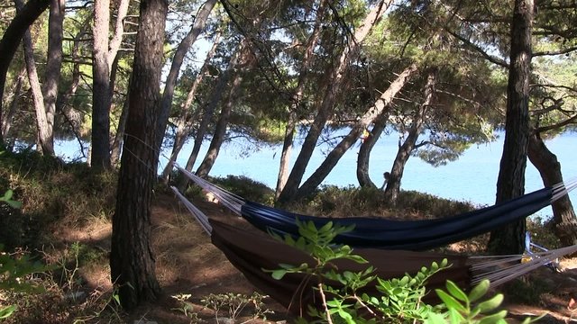 hamac au bord de l'eau