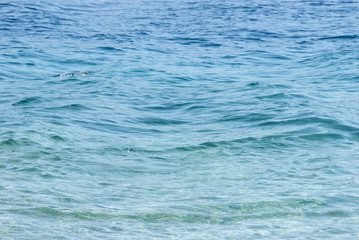 Alonissos - Sporadi - Grecia