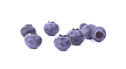 blueberries closeup on white background