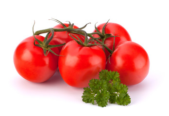 branch of tomatoes with parsley isolated on white
