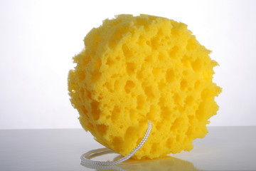 sponge