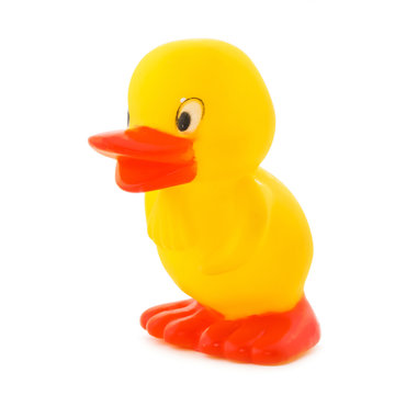 Yellow duckling a plastic toy.2