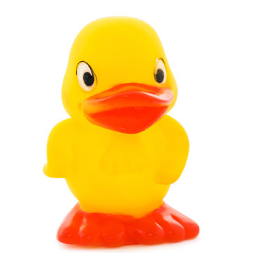 Yellow duckling a plastic toy.