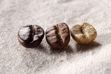 Obraz premium coffee bean