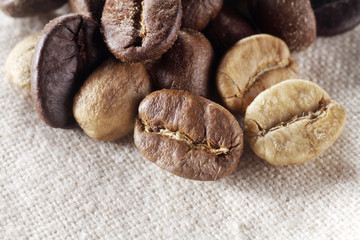coffee bean