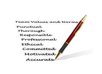 team values and norms