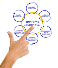 Diagram of business insurance