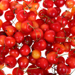 Cherry