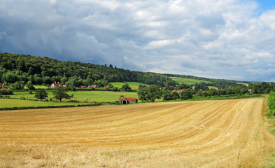 Fototapeta na wymiar Polski krajobraz wiejski w Chiltern Hills