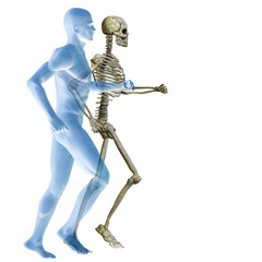 High resolution 3D human for anatomy, medicine and health