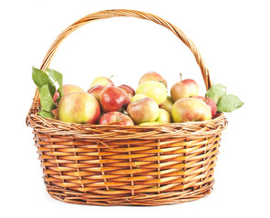 apples in a basket on white background