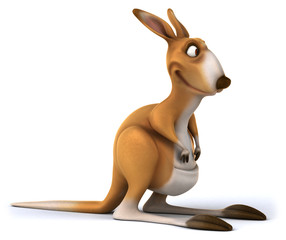 Fun kangaroo