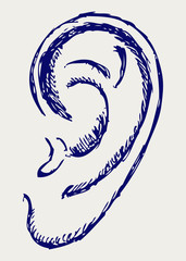 Human ear. Doodle style