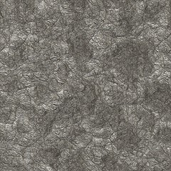 Dry mud. Seamless texture.