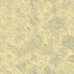 Dry mud. Seamless texture.