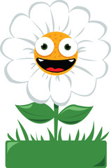 Funny daisy in a garden