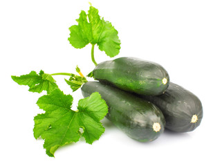 Marrows & leaves