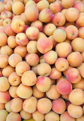 Fresh apricots..