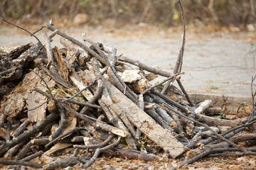 A Stockpile of Sawed Wood Ready to Use as Firewood for Winter He