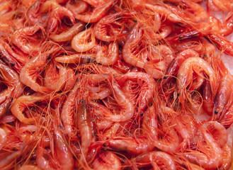 Shrimp. Scampi in the fish market.