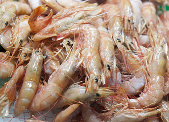 Shrimps. The fish market.