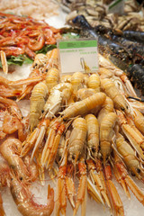 Shrimp. Scampi in the fish market.