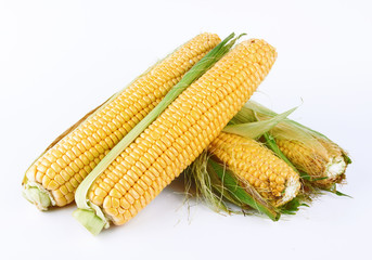 fresh corn