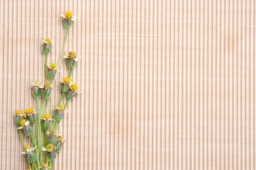 Flower grass and brown paper background