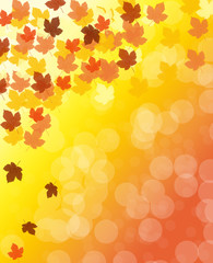 Autumn background with maple leaves and bokeh effect