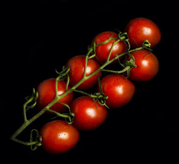 Vine tomatoes