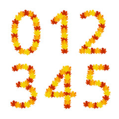 Autumn leaves numbers