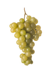 bunch of grapes on white background