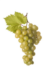 bunch of grapes on white background