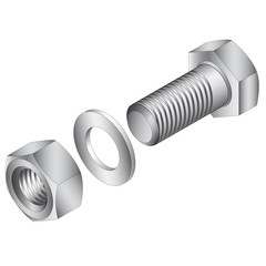 Stainless steel screw and nut. Vector illustration.