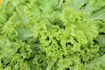 fresh lettuce texture background