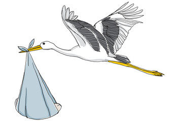 Obraz premium Stork with baby