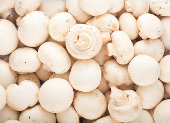 Background of fresh champignons